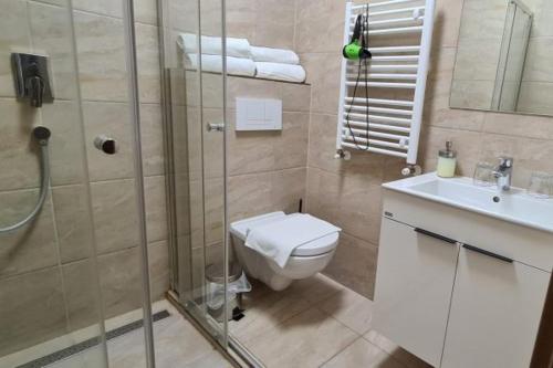 a bathroom with a shower and a toilet and a sink at Korona Panzió in Hatvan