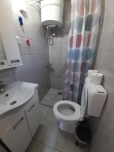 La petite salle de bains est pourvue de toilettes et d'un lavabo. dans l'établissement Kuća Zdravka Goč, à Goč