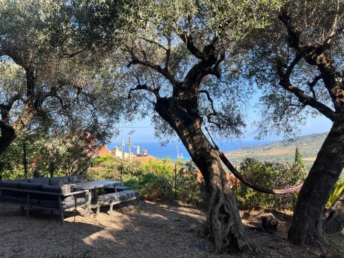 a picnic table under a tree next to a tree at Holiday Home Villa Valentina by Interhome in Serreta