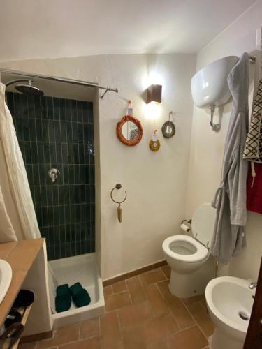 La salle de bains est pourvue de toilettes, d'une douche et d'un lavabo. dans l'établissement CASETTA DI CHARME, à Pescocostanzo