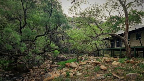 a house next to a river with rocks and trees at Mbizane Escarpment Retreat in Schoemanskloof