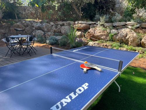a toy bird is sitting on a tennis court at Alma BaHar - charming 2 bdrm house with garden עלמה בהר - דירת אירוח בלב גן פורח in Zikhron Ya‘aqov