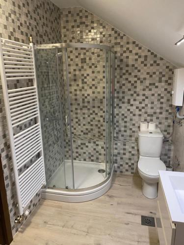 łazienka z prysznicem i toaletą w obiekcie VILLA 1378 ERDUT w mieście Erdut