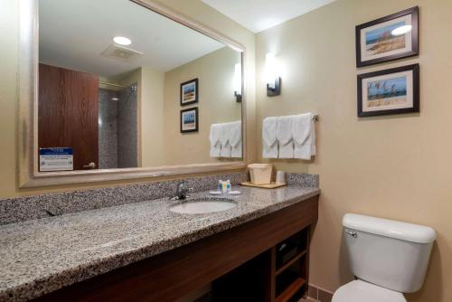 a bathroom with a sink and a mirror and a toilet at Comfort Suites Foley - North Gulf Shores in Foley