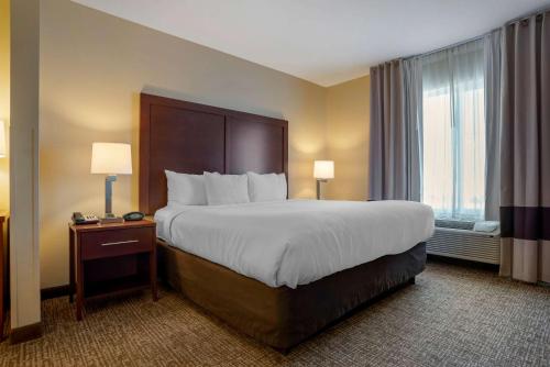 a hotel room with a large bed and a window at Comfort Suites Foley - North Gulf Shores in Foley