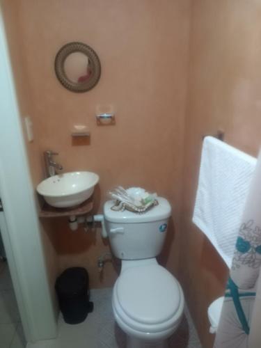 a bathroom with a white toilet and a sink at La casa de las flores in Zacatlán