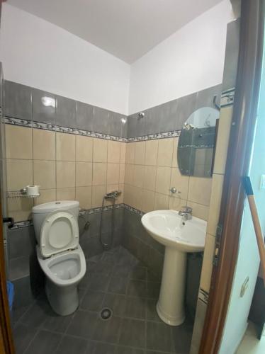 a bathroom with a toilet and a sink at Vila Vadeha in Pogradec