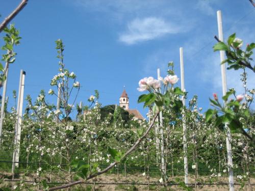 a building behind a fence with flowers in the foreground at Hotel Haselried in Tirolo