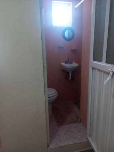 a bathroom with a toilet and a sink at La casa de las flores in Zacatlán
