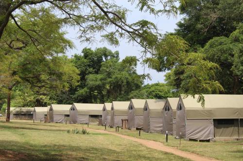 a row of tents in a field with trees at Lions Rock Rapids - Luxury Tented Camp in Hazyview