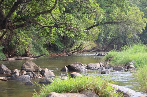 a river with rocks and trees in the water at Lions Rock Rapids - Luxury Tented Camp in Hazyview