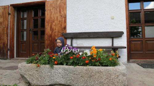 a little girl sitting on a bench next to flowers at Penzion Mauritz in Nová Pec
