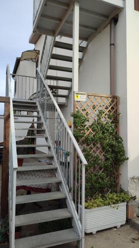 a staircase leading up to a building with a plant at Casa Vacanza Giorgia 2.0 in Marino