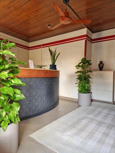 a lobby with potted plants and a bar at Hotel San Giorgio in Boltiere