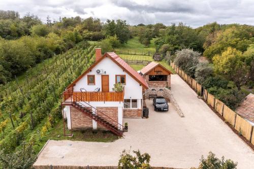 una vista aérea de una casa en un viñedo en Kapocs Apartmanház, en Borgáta