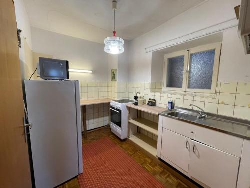 a kitchen with a refrigerator and a sink at Rote Apfel in Pfreimd