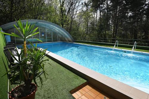 a swimming pool with a plant next to it at Panorama Hotel Noszvaj in Noszvaj