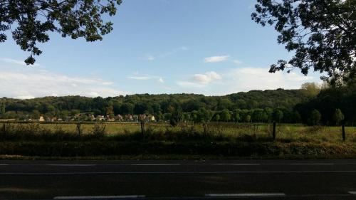an empty road with a field and trees in the background at B&B de Maaskei in Guelle