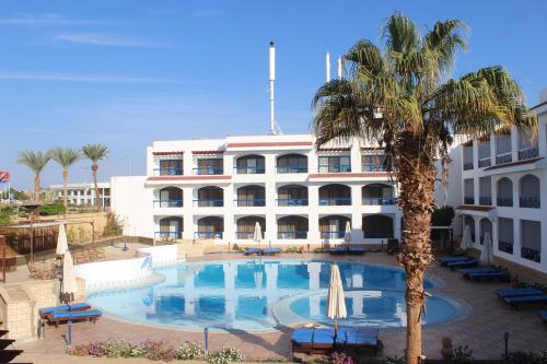 um hotel com uma palmeira e uma grande piscina em El Khan Sharm Hotel em Sharm El Sheikk