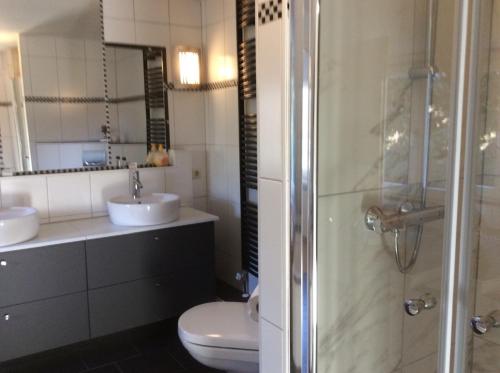 a bathroom with a toilet and a sink and a shower at Getelodge - Private Family Country Lodge - Child and Pet friendly in Getelo
