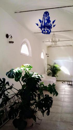 Fotografie z fotogalerie ubytování Corte Stellata Holiday Apartments v destinaci Stellata
