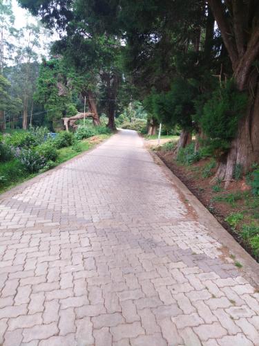 a cobblestone road with trees on either side at Narmada Holiday Home in Ooty