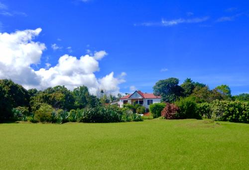 a house in a field of green grass at The Litchi Tree Amber Mountain Boutique Hotel in Ambohitra