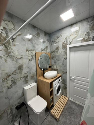ein Badezimmer mit einem WC und einer Waschmaschine in der Unterkunft Gabala Barn House in Qəbələ