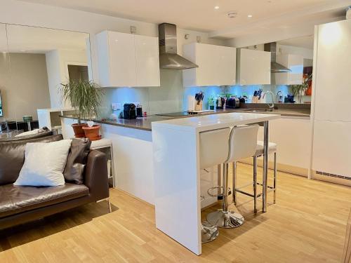 倫敦的住宿－Westminster-Gem，厨房以及带沙发和台面的客厅。