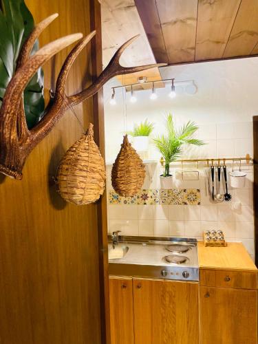 Goldspecht - Boho Appartements