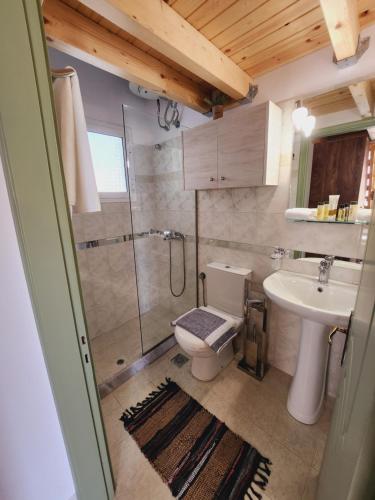a bathroom with a shower and a toilet and a sink at Luxury Loft Apartment Vivian in Patra