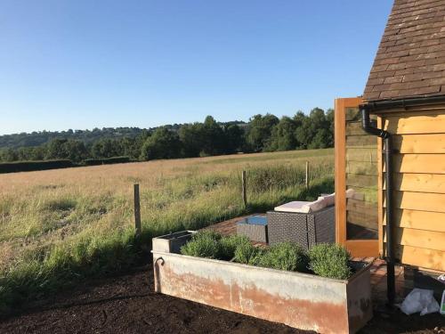 Κήπος έξω από το The Cowshed, Tunbridge Wells