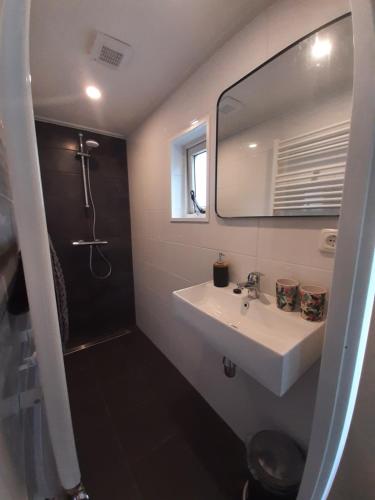 a bathroom with a sink and a shower and a mirror at Chalet Esdoorn in Putten, Gezellig en Luxe gerenoveerd in Putten