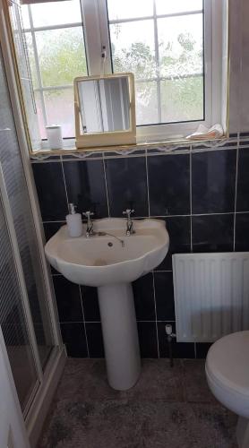 La salle de bains est pourvue d'un lavabo, d'un miroir et de toilettes. dans l'établissement A comfortable stay in Ballybofey, à Ballybofey
