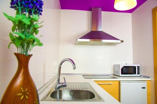 una cocina con fregadero y un jarrón con flores púrpuras en Apartamentos 16:9 Suites Almería, en Almería