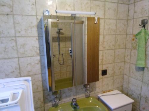y baño con ducha, lavabo y aseo. en Ferienwohnung Küper en Getelo