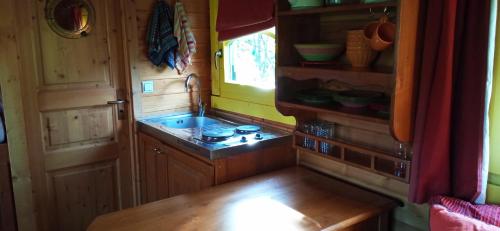 a small kitchen with a stove and a sink at AU NID DOUILLET DE LA FERME CHAUVET in Chantenay-Villedieu
