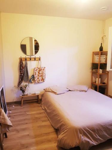 une chambre avec un lit et un miroir au mur dans l'établissement Superbe maison au calme Avignon, à Avignon