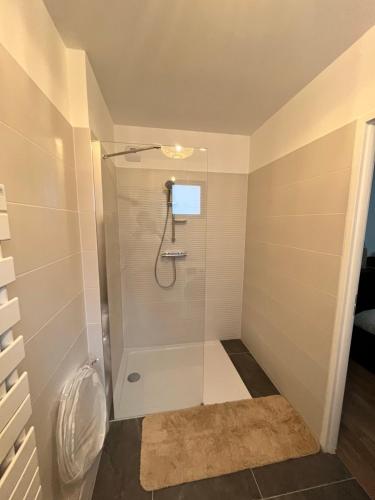 a shower with a glass door in a bathroom at Superbe appartement de 51m2 à 10mn de Paris in Boulogne-Billancourt