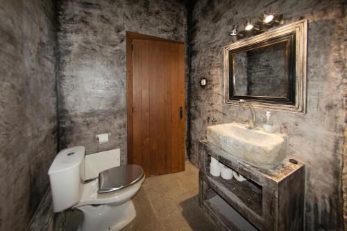 a bathroom with a toilet and a sink and a mirror at Monte Da Coelha AL in Redondo