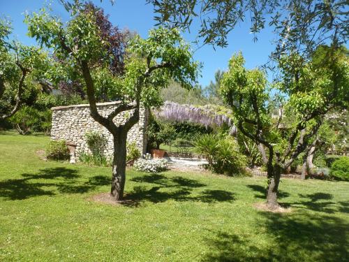 a garden with two trees in the grass at maison florentine in La Gaude