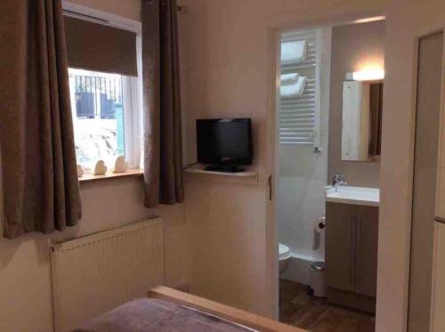 a bathroom with a toilet and a television and a sink at Tre Mynach Barmouth in Barmouth