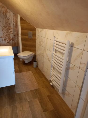 a bathroom with a toilet and a sink at Apartament 6 osobowy Pasternik in Małe Ciche