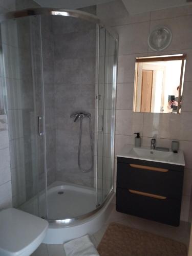 a bathroom with a shower and a toilet and a sink at Apartament 6 osobowy Pasternik in Małe Ciche