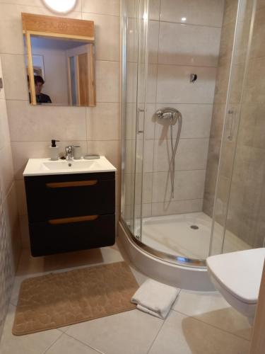 uma casa de banho com um chuveiro, um lavatório e um WC. em Apartament 6 osobowy Pasternik em Małe Ciche