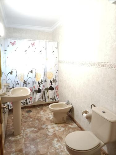 a bathroom with a toilet and a sink at Chalet Ruta El Saucillo in Gáldar