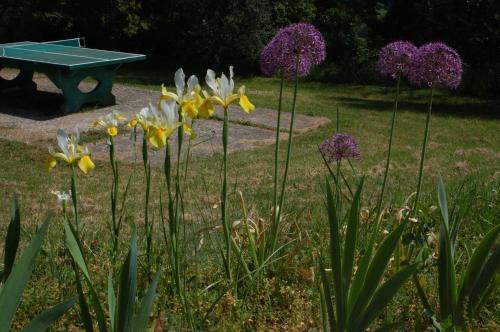 a bunch of flowers in front of a picnic table at Due Piani in Barberino di Val dʼElsa