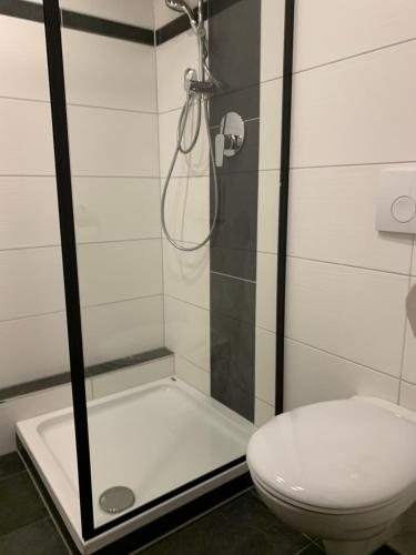 uma casa de banho com um chuveiro e um WC. em Ferienwohnung Chrisi im Kulmhof em Tauplitz