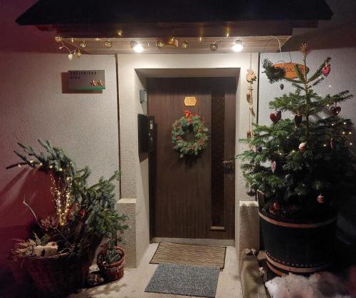 a hallway with christmas trees and a door with a wreath at Country house Dovje in Dovje