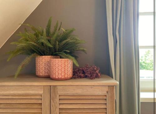 two plants sitting on top of a wooden cabinet at Sfeervol familielandhuis in de groene Kempen in Baarle-Hertog